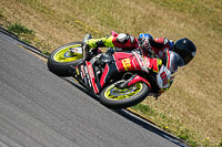 anglesey-no-limits-trackday;anglesey-photographs;anglesey-trackday-photographs;enduro-digital-images;event-digital-images;eventdigitalimages;no-limits-trackdays;peter-wileman-photography;racing-digital-images;trac-mon;trackday-digital-images;trackday-photos;ty-croes